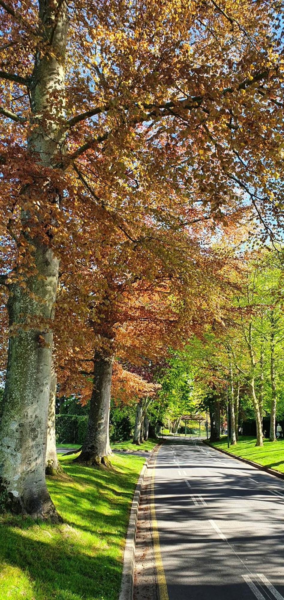 Chemin Vert Bayeux Exterior photo